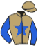 casaque portée par Desmigneux F. jockey du cheval de course KALICINE, information pmu ZETURF casaque portée par Desmigneux F. jockey du cheval de course KALICINE, information pmu ZETURF