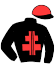 casaque portée par Beileard Mme Cl. jockey du cheval de course HOSCA JIBELA, information pmu ZETURF