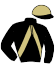 casaque portée par Le Bourhis Mlle M. jockey du cheval de course HOUPPELANDE, information pmu ZETURF casaque portée par Le Bourhis Mlle M. jockey du cheval de course HOUPPELANDE, information pmu ZETURF