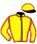 casaque portée par Voisin A. jockey du cheval de course KOURCELLES, information pmu ZETURF casaque portée par Voisin A. jockey du cheval de course KOURCELLES, information pmu ZETURF