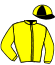 casaque portée par D' Andigne O. jockey du cheval de course ALLURES DE REINE, information pmu ZETURF casaque portée par D' Andigne O. jockey du cheval de course ALLURES DE REINE, information pmu ZETURF
