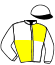 casaque portée par Lestrade B. jockey du cheval de course KRACANT, information pmu ZETURF