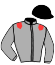 casaque portée par Paille J. jockey du cheval de course LIBRE DE L'ETRE, information pmu ZETURF