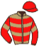 casaque portée par Rochard B. jockey du cheval de course KARL SPEED, information pmu ZETURF casaque portée par Rochard B. jockey du cheval de course KARL SPEED, information pmu ZETURF
