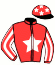 casaque portée par Beudard Mlle M. jockey du cheval de course FUN DE BELLANDE (FR), information pmu ZETURF