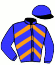 casaque portée par Letonturier F. jockey du cheval de course GOBELINE (FR), information pmu ZETURF