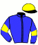casaque portée par Lecanu F. jockey du cheval de course IZA JOSSELYN, information pmu ZETURF