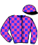 casaque portée par Randon A. jockey du cheval de course JUST DU CHATELET, information pmu ZETURF casaque portée par Randon A. jockey du cheval de course JUST DU CHATELET, information pmu ZETURF
