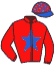 casaque portée par Lebourgeois Y. jockey du cheval de course JESABELLE DU JOUR, information pmu ZETURF