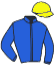 casaque portée par Sundgren Joh. L. jockey du cheval de course NYMKE BRIGADOON, information pmu ZETURF