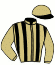 casaque portée par Mottier M. jockey du cheval de course JAGUAR DE DALINE, information pmu ZETURF casaque portée par Mottier M. jockey du cheval de course JAGUAR DE DALINE, information pmu ZETURF