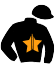 casaque portée par Lemaitre A. jockey du cheval de course ALEXANDER JAMES (IE), information pmu ZETURF