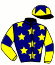 casaque portée par Hardouin E. jockey du cheval de course PONTILLE (FR), information pmu ZETURF