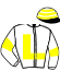 casaque portée par Roussel Ale. jockey du cheval de course SAN VALENTINA (FR), information pmu ZETURF