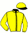 casaque portée par Vogt Mlle S. jockey du cheval de course INDAR (FR), information pmu ZETURF