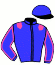 casaque portée par Bachelot T. jockey du cheval de course SORRENZA (FR), information pmu ZETURF