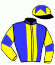 casaque portée par Crublet E. jockey du cheval de course FLYING DOWN TO RIO, information pmu ZETURF