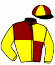 casaque portée par Lemaitre A. jockey du cheval de course ROI DES CIEUX (DE), information pmu ZETURF