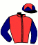 casaque portée par Lecoeuvre C. jockey du cheval de course NINJA WONDER (DE), information pmu ZETURF