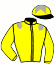 casaque portée par Michel Mlle Mic. jockey du cheval de course DARIO MIO, information pmu ZETURF