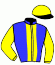 casaque portée par Trullier T. jockey du cheval de course OSTIA (FR), information pmu ZETURF