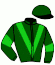 casaque portée par Mendizabal I. jockey du cheval de course INTERPRETATION (IE), information pmu ZETURF