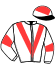 casaque portée par Bachelot T. jockey du cheval de course HAVANE DE L'ARDUS (AR), information pmu ZETURF
