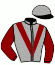 casaque portée par Crublet E. jockey du cheval de course MONDANGO (IE), information pmu ZETURF