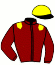 casaque portée par Grosbois C. jockey du cheval de course MAESTRO CHOP, information pmu ZETURF