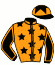 casaque portée par Molins Mme Amb. jockey du cheval de course HAVOC, information pmu ZETURF
