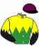 casaque portée par Yokoyama Kaz. jockey du cheval de course TITLEHOLDER, information pmu ZETURF