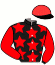 casaque portée par Eon Mlle M. jockey du cheval de course MARS ATTACK, information pmu ZETURF