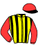 casaque portée par Bazire P. jockey du cheval de course COOL HEART, information pmu ZETURF casaque portée par Bazire P. jockey du cheval de course COOL HEART, information pmu ZETURF