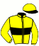 casaque portée par Chuette Mlle S. jockey du cheval de course L'IBANETA, information pmu ZETURF casaque portée par Chuette Mlle S. jockey du cheval de course L'IBANETA, information pmu ZETURF
