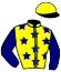casaque portée par Lemaitre A. jockey du cheval de course PEACE WARRIOR, information pmu ZETURF casaque portée par Lemaitre A. jockey du cheval de course PEACE WARRIOR, information pmu ZETURF