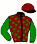 casaque portée par Roussel Ale. jockey du cheval de course KALAMAZOO RIVER, information pmu ZETURF casaque portée par Roussel Ale. jockey du cheval de course KALAMAZOO RIVER, information pmu ZETURF