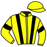 casaque portée par Crublet E. jockey du cheval de course ROUGE A SANG, information pmu ZETURF casaque portée par Crublet E. jockey du cheval de course ROUGE A SANG, information pmu ZETURF