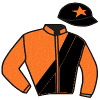casaque portée par Murzabayev B. jockey du cheval de course FELLOW, information pmu ZETURF