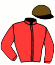 casaque portée par Demuro C. jockey du cheval de course GOLIGHTLY, information pmu ZETURF