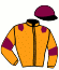 casaque portée par Soumillon C. jockey du cheval de course REVOLTEE, information pmu ZETURF casaque portée par Soumillon C. jockey du cheval de course REVOLTEE, information pmu ZETURF