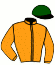 casaque portée par Thomas Ron. jockey du cheval de course LOOK DE VEGA, information pmu ZETURF