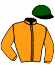 casaque portée par Thomas Ron. jockey du cheval de course LOOK DE VEGA, information pmu ZETURF casaque portée par Thomas Ron. jockey du cheval de course LOOK DE VEGA, information pmu ZETURF