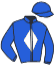 casaque portée par Lecoeuvre C. jockey du cheval de course REX OF THUNDER, information pmu ZETURF