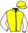 casaque portée par Bachelot T. jockey du cheval de course STRASSIA, information pmu ZETURF