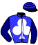 casaque portée par Boutin Hug. jockey du cheval de course SCHUTZENZAUBER, information pmu ZETURF casaque portée par Boutin Hug. jockey du cheval de course SCHUTZENZAUBER, information pmu ZETURF