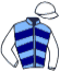 casaque portée par Hardouin E. jockey du cheval de course LEANDER, information pmu ZETURF