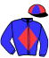 casaque portée par Moutard Jer. jockey du cheval de course VASIGREEN, information pmu ZETURF