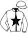 casaque portée par Valle Skar Mlle F. jockey du cheval de course EXCALIBUR, information pmu ZETURF