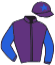 casaque portée par Guyon M. jockey du cheval de course L'EQUILIBRISTE, information pmu ZETURF