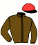 casaque portée par Lecoeuvre C. jockey du cheval de course ZVIKOVA, information pmu ZETURF